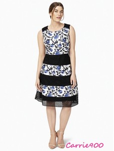 phase eight plus size