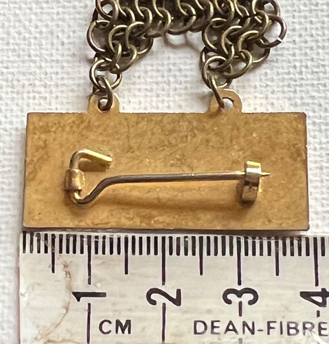 REGIA ANGLORUM (ORGANIZACIÓN DE RECREACIÓN) COTA DE MALLA RARA INSIGNIA PIN VINTAGE - Imagen 4 de 6