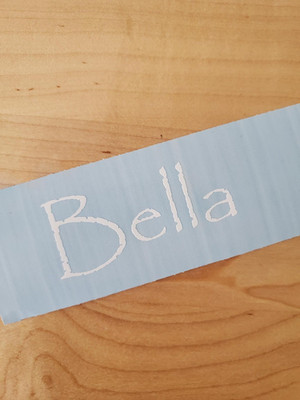 Bella pet name Sticker Vinyl Decals 10'' (2) PAIR white - Dog Cat Pet Puppy FAST
