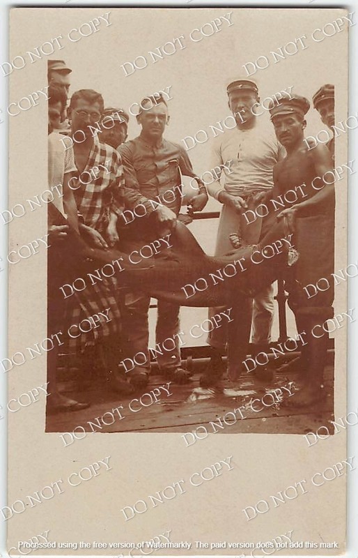 Antique Weird RPPC Fishermen Dead Shark Mission in China 1910s Photo Postcard