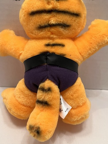 Vintage Fiesta Garfield Toy Plush Cat Cartoon Strip USA Funds 9 Inch Blue Cape - Picture 5 of 6