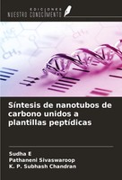 Sudha E (U. A.) | SíNtesis De Nanotubos De Carbono Unidos A Plantillas...