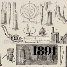 1891 FRUIT VINICULTURE GARDEN TRELLIS TOOLS GRAFTING VINES LITHOGRAPHY PRINT