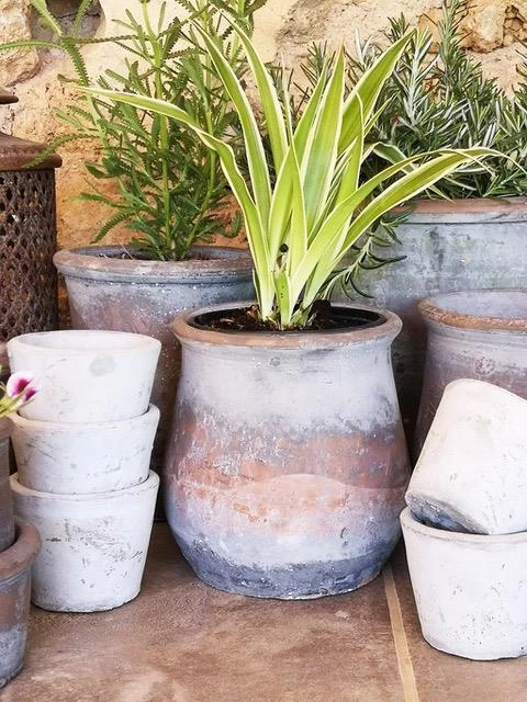 HEAVENLY HOMES AND GARDENS Curved Plant Pot, Grey Terracotta Succulent Herb Planter Rustic Vintage 12x14cm