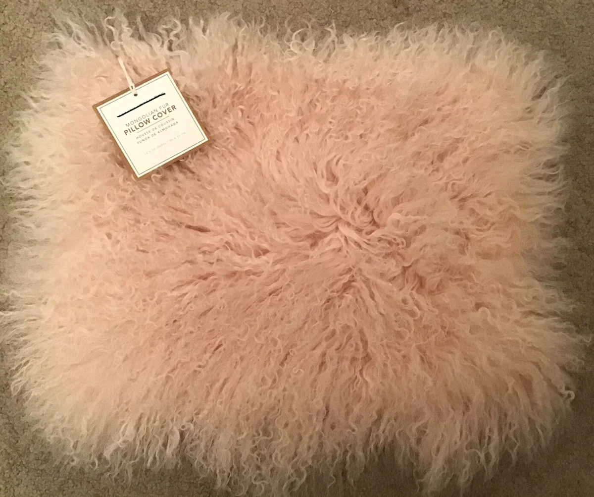 12x16 pillow cover pottery barn new arrivals