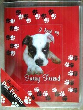 PICTURE FRAME DOG PAWS MAGNETIC PET DOG CAT PAW PRINT FRAME NEW