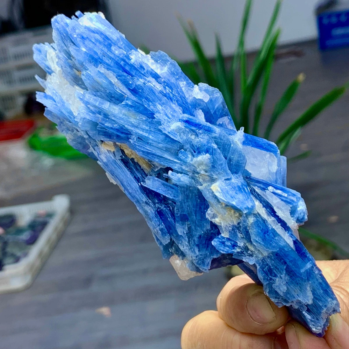 Kianite Naturelle Brute – 2,61 Carats – Pierre Fine Pour Collection Ou Bijouterie