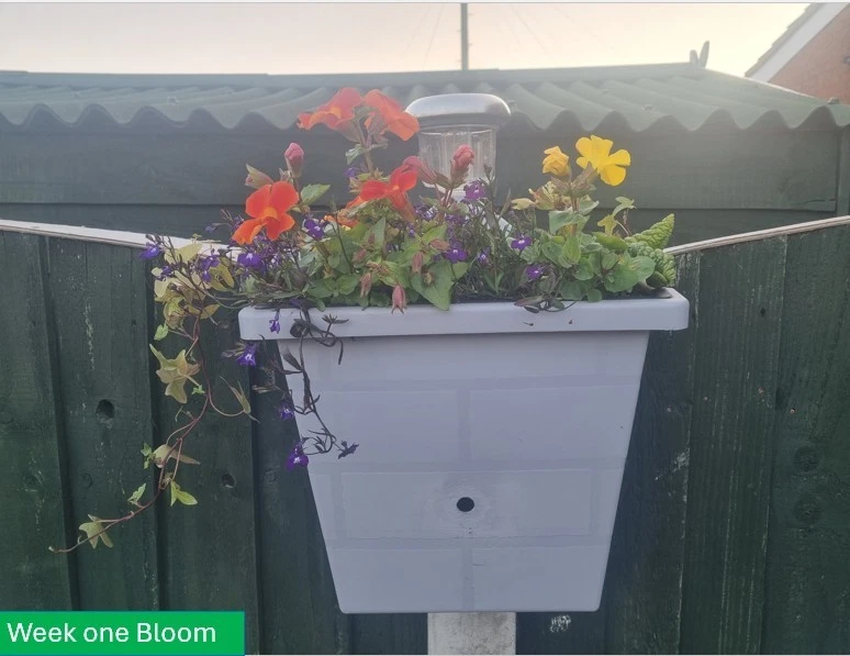 Unique unusual 4 in 1 Solar Grey Self Watering Weeks of water Hanging Planter - Image 3 of 4