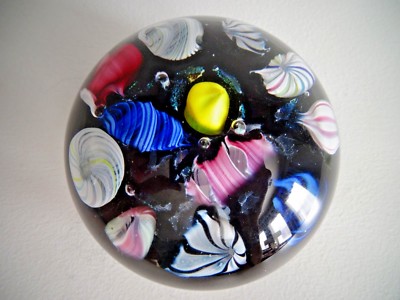 Signed TW?? Studio Art Glass Paperweight SEA ANEMONE URCHINS Cane & Dichroic