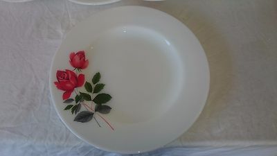 EINZELNER ESSTELLER VON JAJ PYREX IM JUNI ROSE DESIGN
