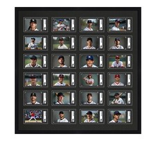 SGC Graded Card Frame Display Holds (24) Slabs Baseball, UV Protection