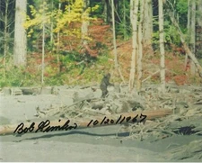 Bob Robert Gimlin BIGFOOT Patterson Gimlin Film Signed REPRINT 8.5 x 11 Photo