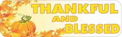 10in x 3in Thankful and Blessed Vinyl Sticker
