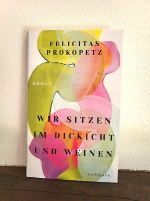 Wir sitzen im Dickicht und weinen | Felicitas Prokopetz | Roman | Eichborn