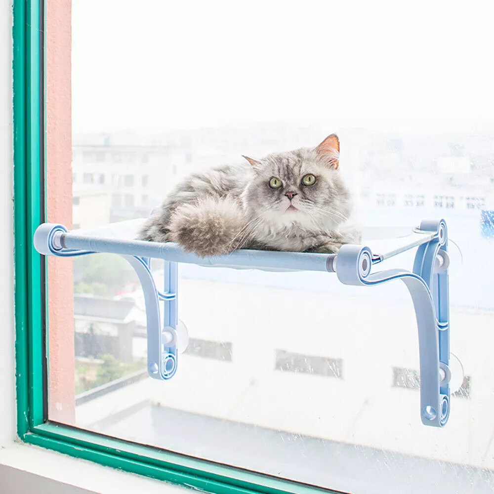 Cat suction shop cup window perch