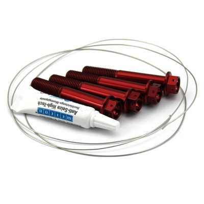 4 Titan Bremssattelschrauben für Yamaha YZF-R1 / R1M / YZF-R6 10x1.25x70 RED