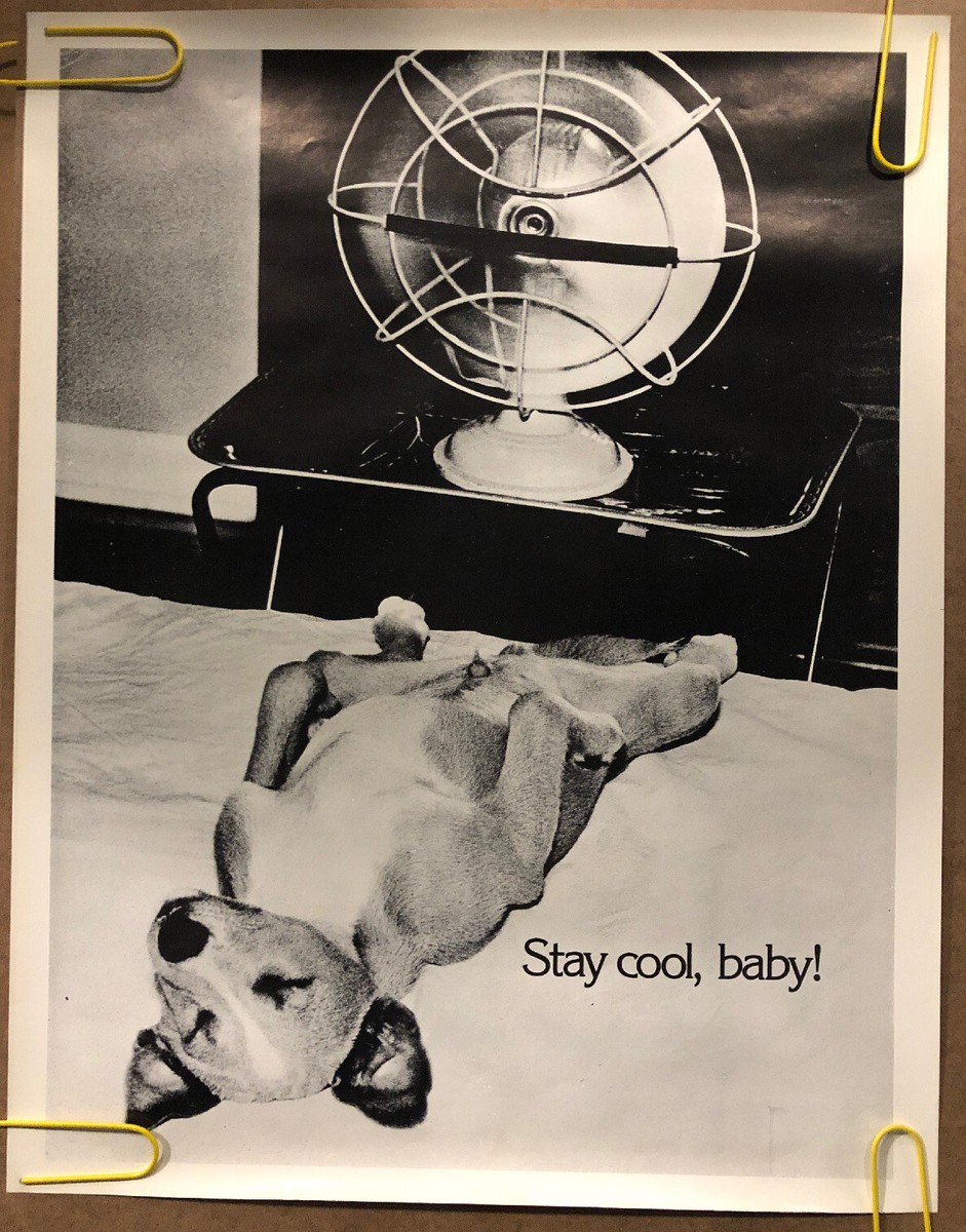Original Vintage Poster Stay Cool Baby Dog Laying Down Pin Up Head