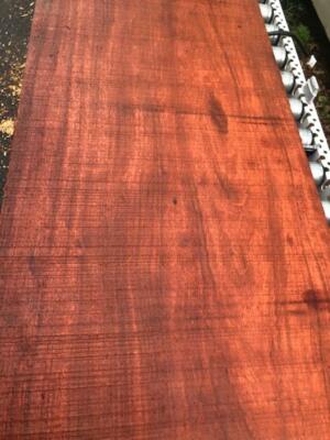 5/4 CHERRY BOARD 42'' long 9 '' wide 1 1/8 thick kilm dried 