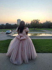 Pink Women's Sweetheart Quinceanera Dresses Ball Gown Spaghetti Straps Applique