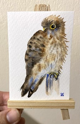 ACEO Original Aquarell Kunst Turmfalke Vogel von Ilona Winter
