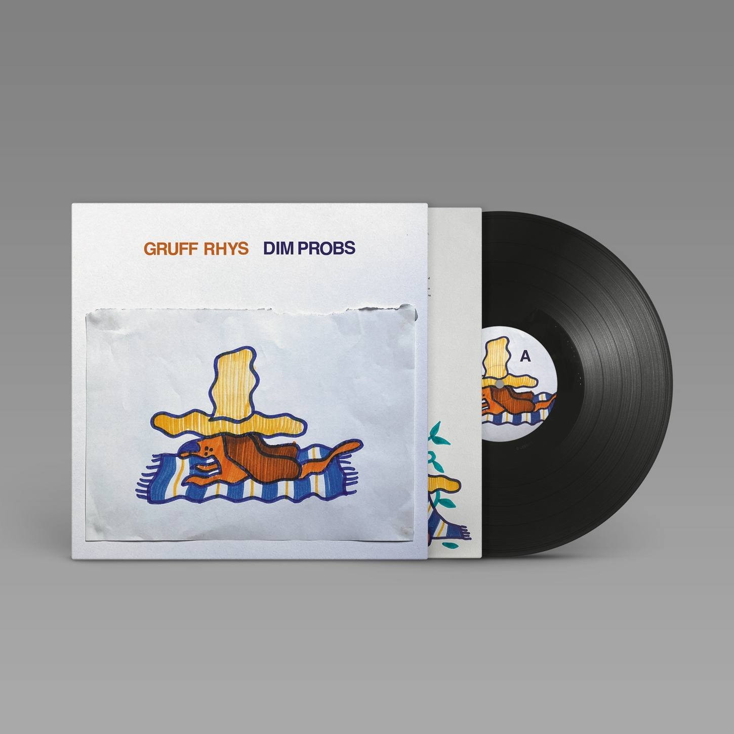 Gruff Rhys Dim Probs (New Vinyl LP) Black Vinyl