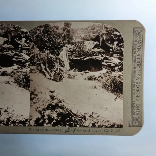 WW1 Military Stereoview C1916 Real Photo Turkey Gallipoli Natural Cover Dugout