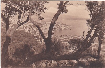E0944 MONACO - MONTE CARLO - ALLGEMEINE ANSICHT ZWISCHEN OLIVENBÄUMEN