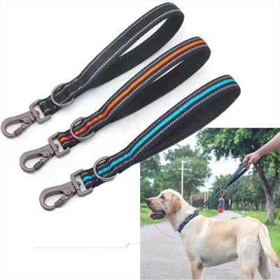 outdoor dog lead