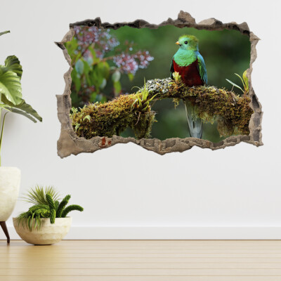 Prachtvoller Quetzal, Mocinno 3D Smashed View Wandsticker Poster Aufkleber A786