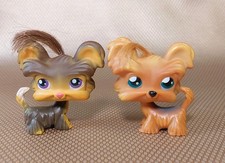 Littlest Pet Shop # 398 #6 Shih Tzu Dog Lot LPS
