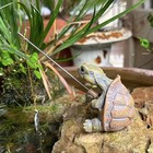 Foto 4 di 24