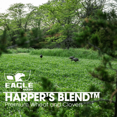 Eagle Seed Harper s Blend  for Deer | Food Plot Habitat Seed