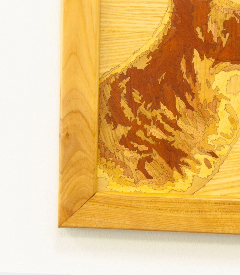 Canguro fauna madera mosaico imagen naturaleza salvaje eco regalo incrustación panel enmarcado Foto 3 de 4