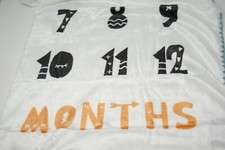 Non-Pill Fleece Baby Milestone Blanket with months. Measures 40" X 40"