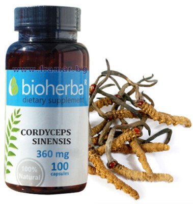 Cordyceps Sinensis Extrakt 360 mg + Eisen, Nahrungsergänzungsmittel - 100 Kappen
