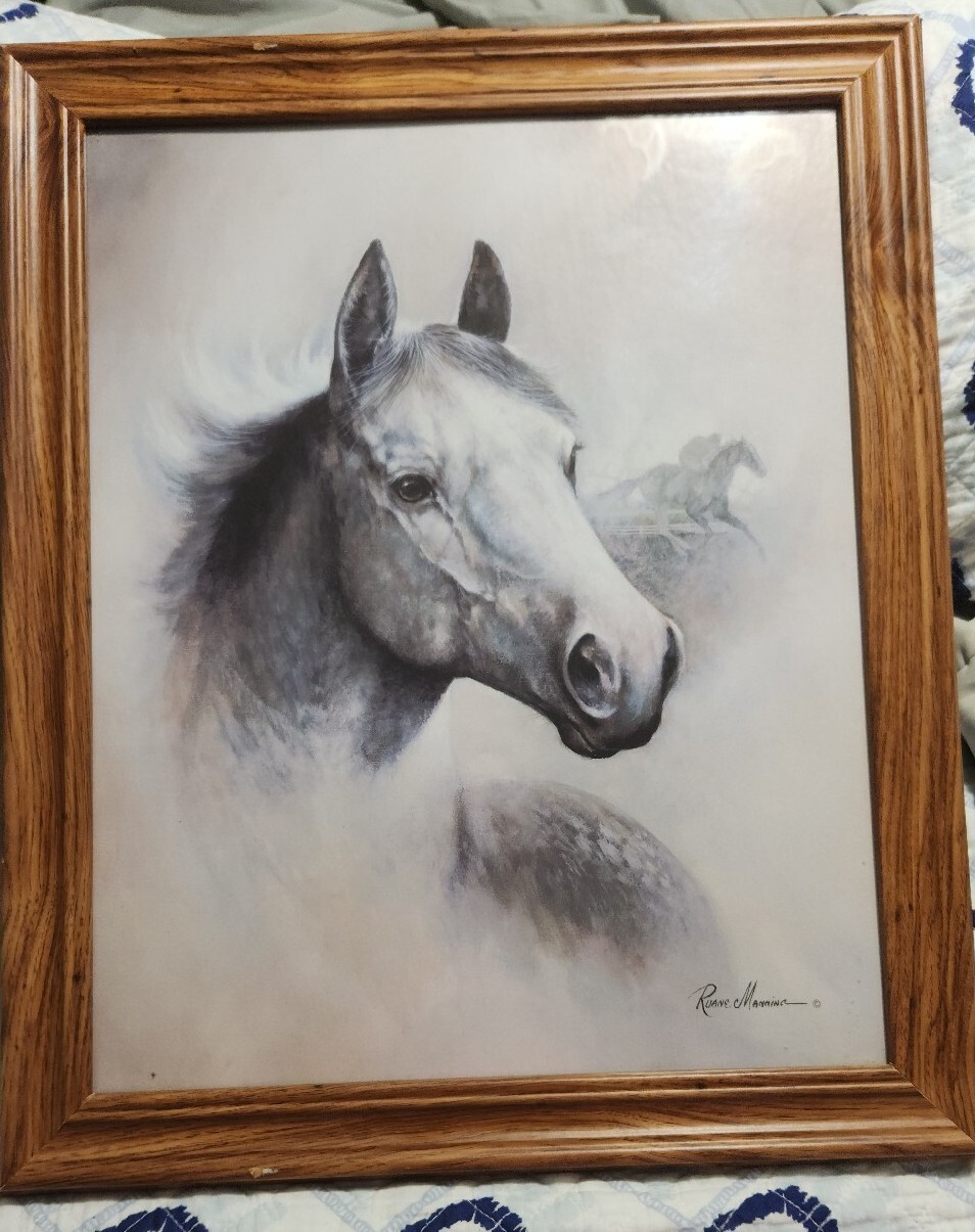 Picture 1 of 15