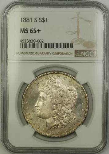 1881-S Morgan Silver Dollar $1 Coin NGC MS-65+ Lightly Toned Gem (15b)
