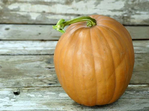 Pumpkin DICKINSON-Pumpkin Seeds-COOKS FAVOURITE, GREAT IN SCONES-SOLD OUT - Picture 1 of 2