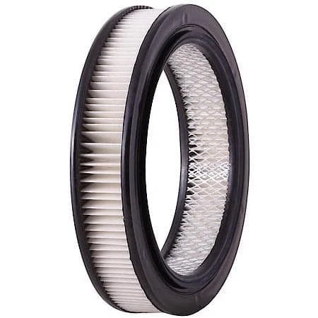 Filtro de aire de motor Carquest Premium 87061 para camiones y furgonetas comerciales Foto 2 de 4