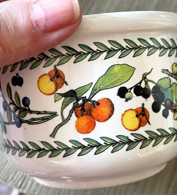 Spigarelli Collezione Frutti DI Bosco 3.5'' x 2.5'' Ramkin Small Canister ITALY