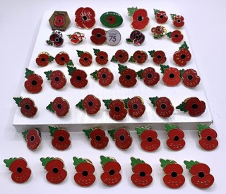 Remembrance Flower Charity Pins 2008 2023 D Day Badges 45 Collectable Pins