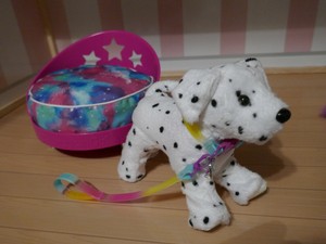 american girl galaxy pet bed