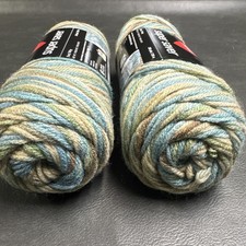 Red Heart Super Saver Yarn Lot of 2 Skeins Aspen Print 0305 - 5 oz. Skeins