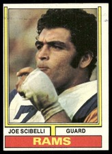 Click to enlarge Joe Scibelli