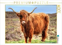 Calvendo Puzzle Highland Cattle | 1000 Pieces, Finished Size 25.2 × 18.9 In (64