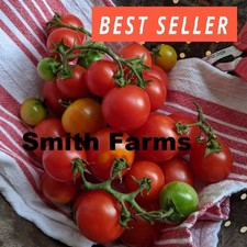 50 Seeds Very Cherry Cascade Tomato Juicy Easy Grow Vegetable Garden Planting