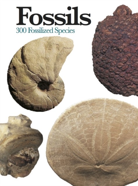 Fossils 300 of the Earth's Fossilized Species by Carl Mehling (Paperback Book)