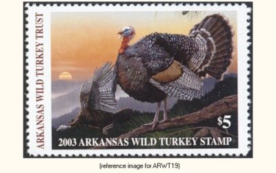 D2K NWTF Arkansas Wild Turkey Fed. 2003 $5 Stamp | eBay