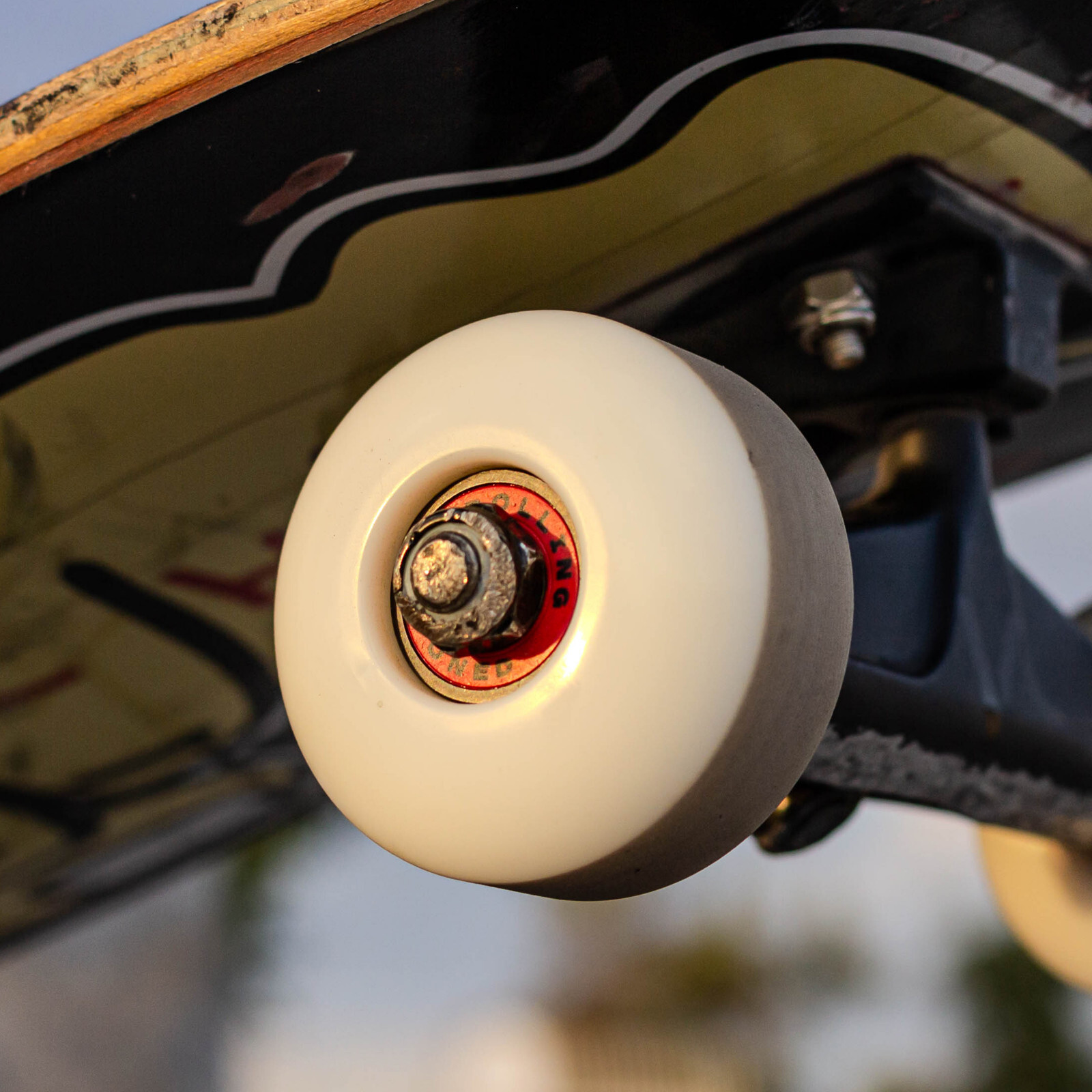 Rolling Stoned Skateboard Bearing Set 8 Pack for Skateboards - Red