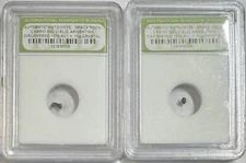 2 Genuine Campo del Cielo Meteorites – Argentina Authentic Space Rock